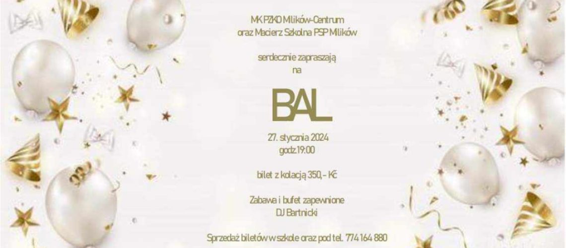 417173971_1035656477539353_934823704799208953_n-1